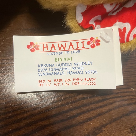 Cuddly Wudley Battery Operated Talking Brown Bear Plush Stuffed Animal - Picture 11 of 15